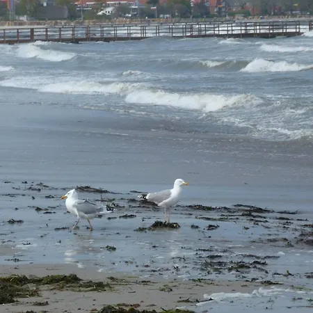 Rieger Fw 3 * Eckernförde
