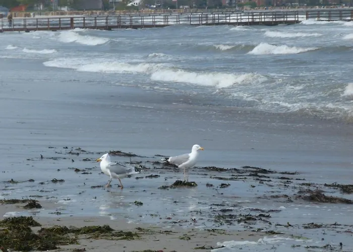 Rieger Fw 3 * Eckernförde