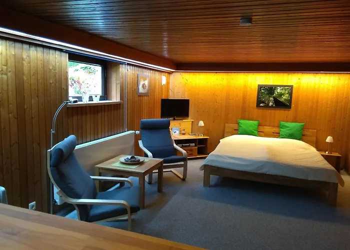 Rieger Fw 3 * Eckernförde